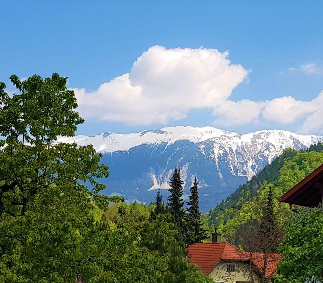 Studio Jan Zgornje Gorje 外观 照片